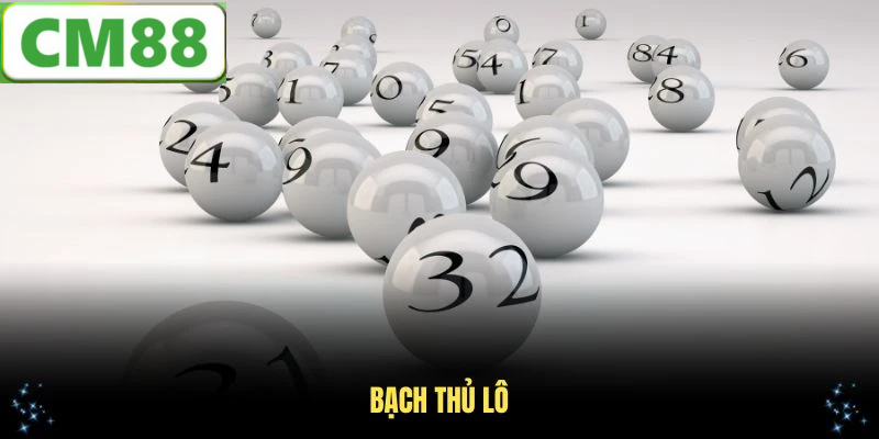 Tại Sao Bạch Thủ Lô Lại Được Ưa Chuộng